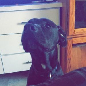 Meet your Posher, Matt